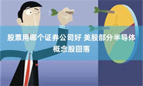 股票用哪个证券公司好 美股部分半导体概念股回落