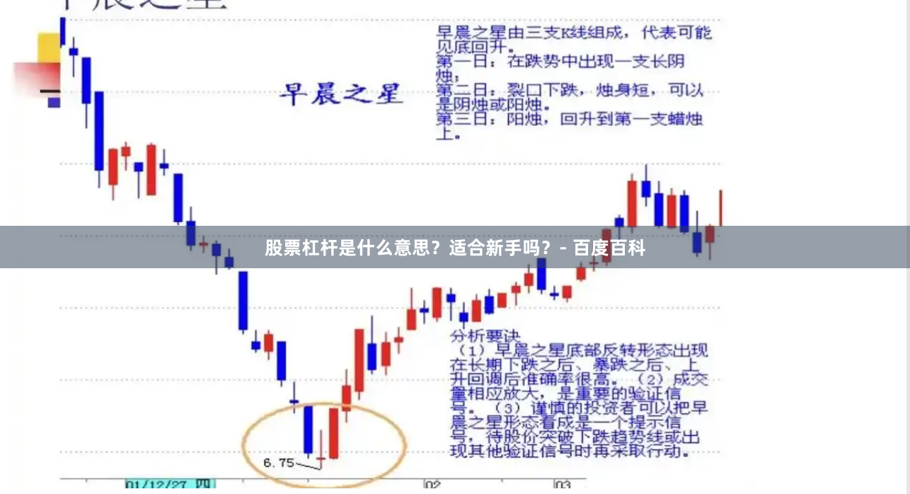 股票杠杆是什么意思?适合新手吗?- 百度百科